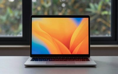 Best Laptop Skins 2026: 7 Picks by Finish and Fit